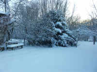 Winter 012.jpg (100530 Byte)