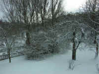 Winter 033.jpg (99053 Byte)